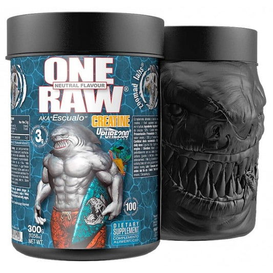 ONE RAW CREATINE 300 GRS