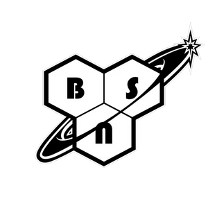 BSN