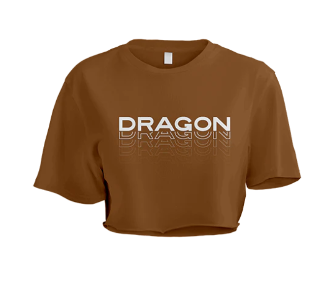 Playera Dragon FALLOUT OVERSIZED CROP TOP Café