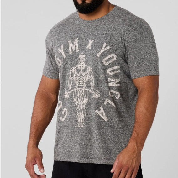 YOUNGLA 4206 - Gold's Gym Heather Tees Gris